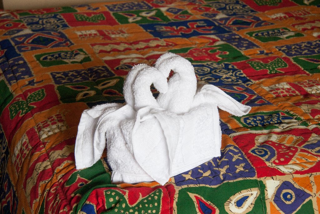 IMG_6896.jpg - Swan towel arrangement by the housekeeping staff.